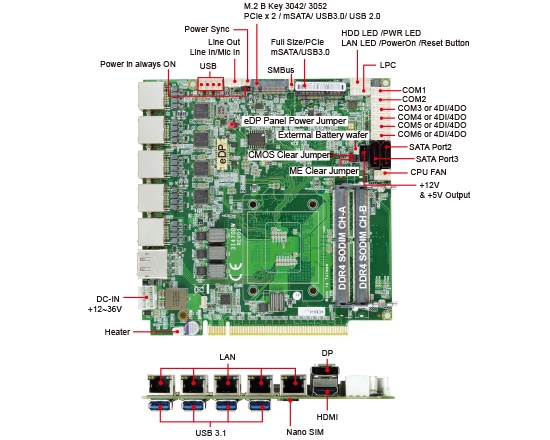 嵌入式單板電腦-3I470DW-Comet Lake 3.5 Embedded SBC