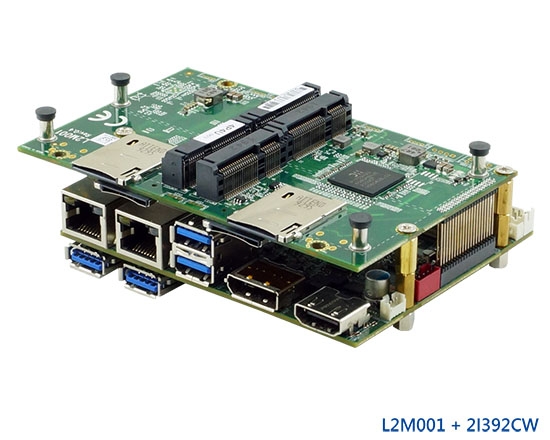 Single Board Computer-L2M001-2I392CW