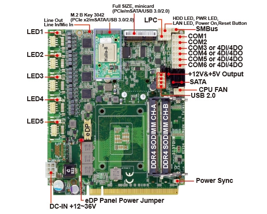 Single Board Computer-3I370HW-Intel 9th/8th Gen Coffee Lake-S